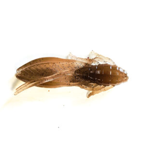 Guma Pływająca Prospin Baits Craw Flap 2 cale 12szt