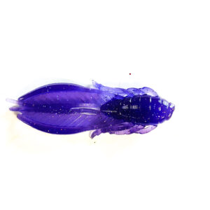 Guma Pływająca Prospin Baits Craw Flap 2 cale 12szt