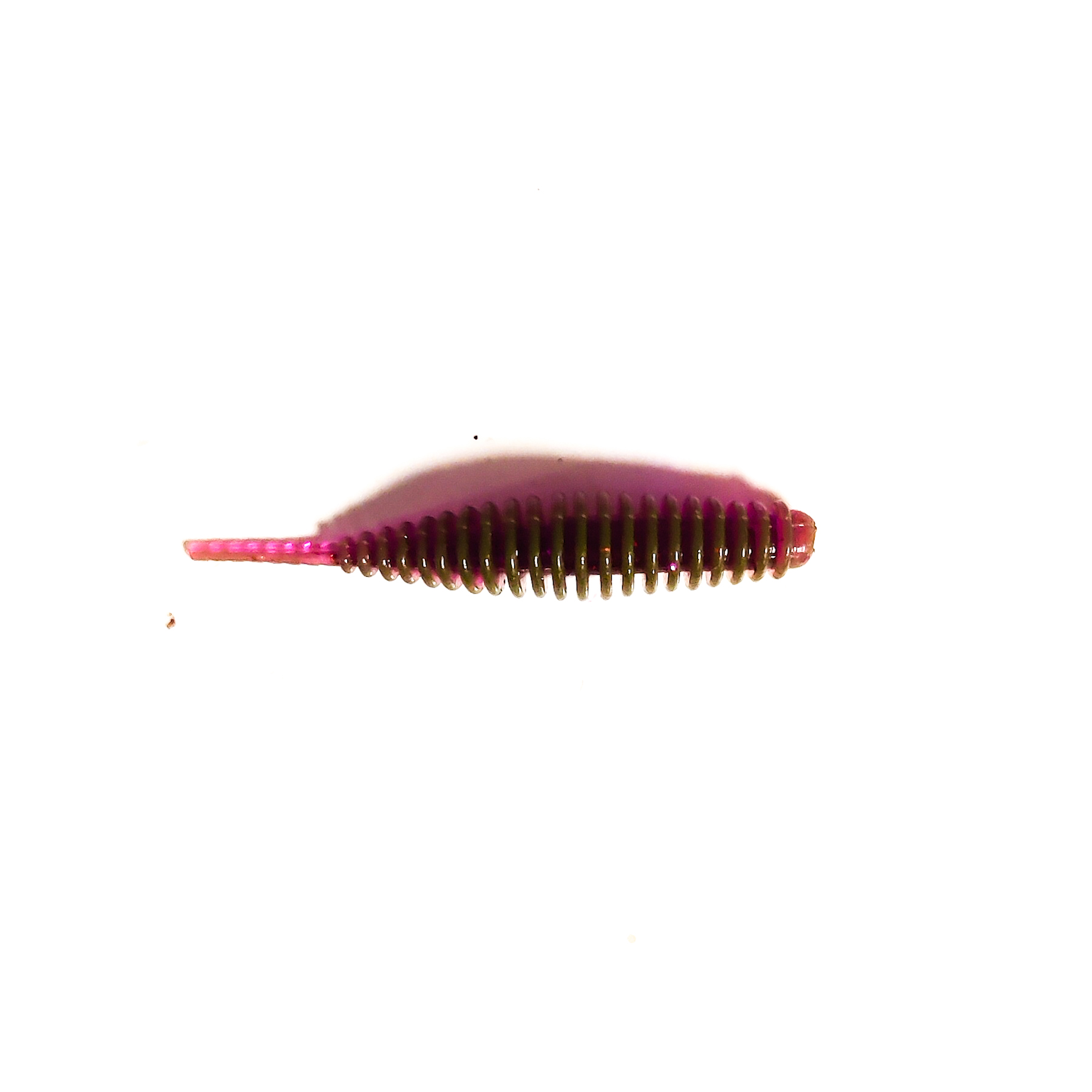 Guma Pływająca Prospin Baits Slug 1,5 cala 15sztuk