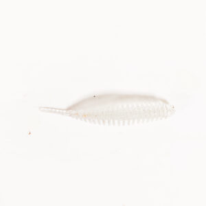 Guma Pływająca Prospin Baits Slug 1,5 cala 15sztuk