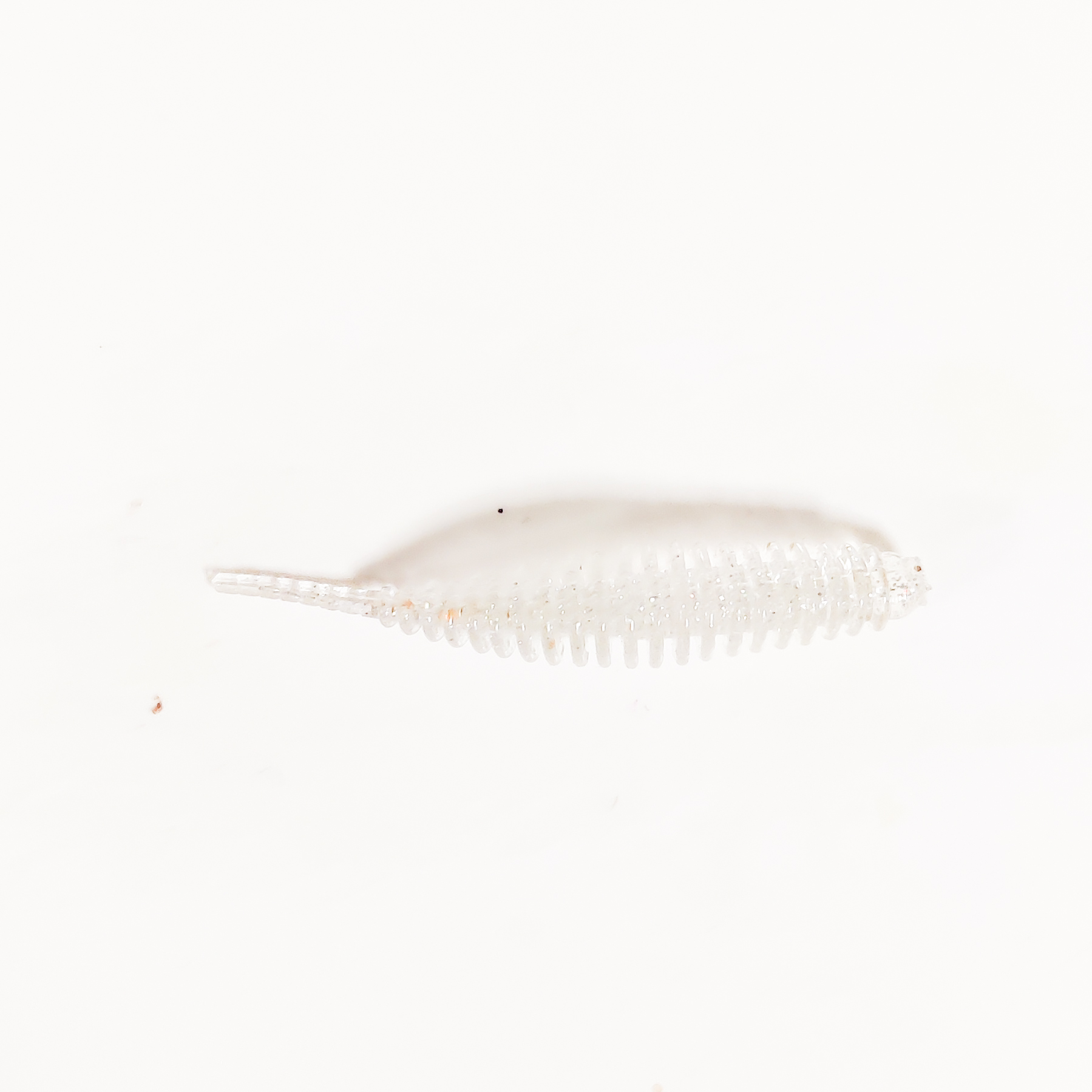 Guma Pływająca Prospin Baits Slug 1,5 cala 15sztuk