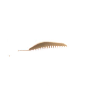 Guma Pływająca Prospin Baits Slug 1,5 cala 15sztuk