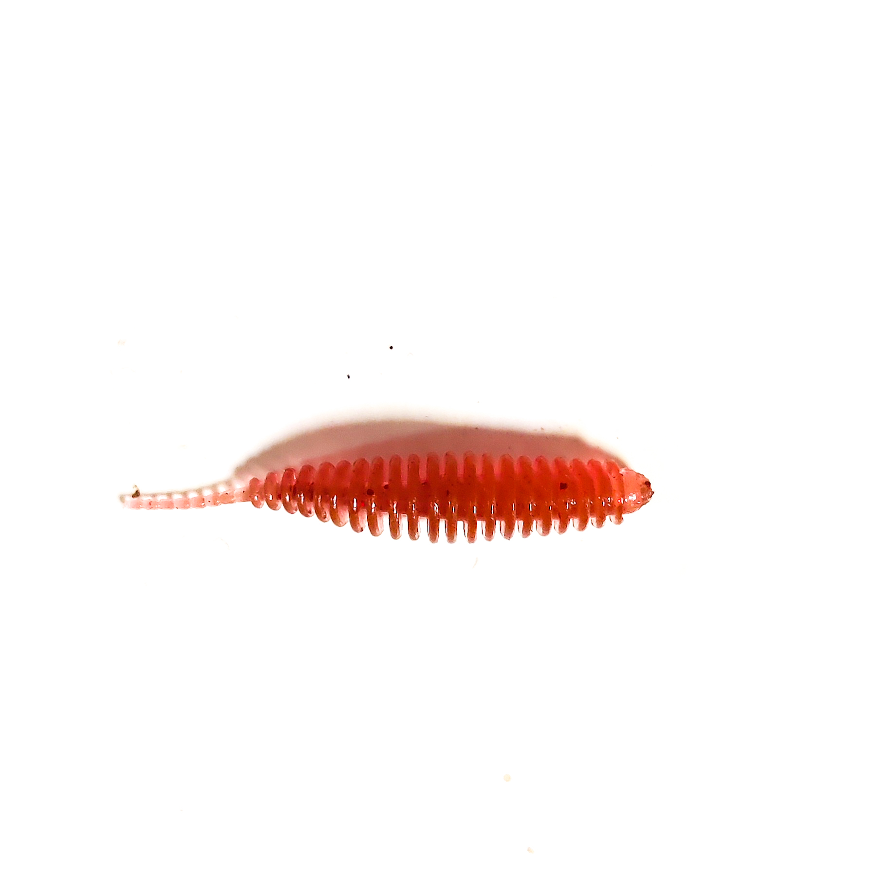 Guma Pływająca Prospin Baits Slug 1,5 cala 15sztuk