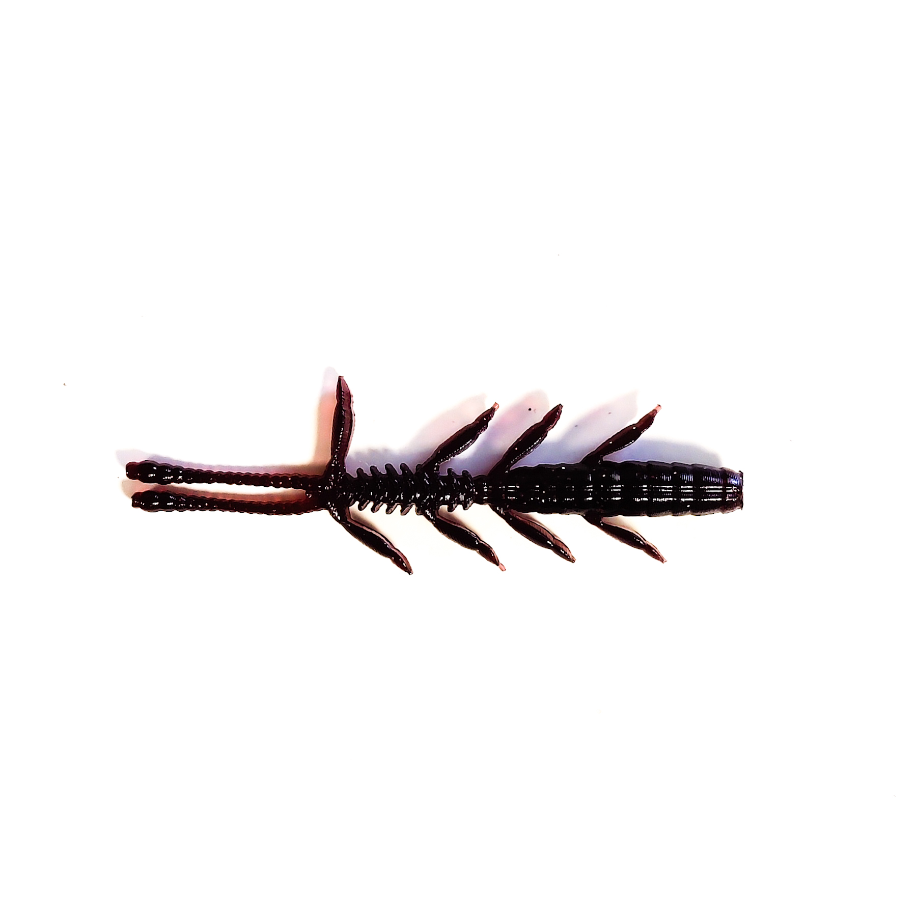 Guma Pływająca Prospin Baits Bug 2,3 cala 10szt
