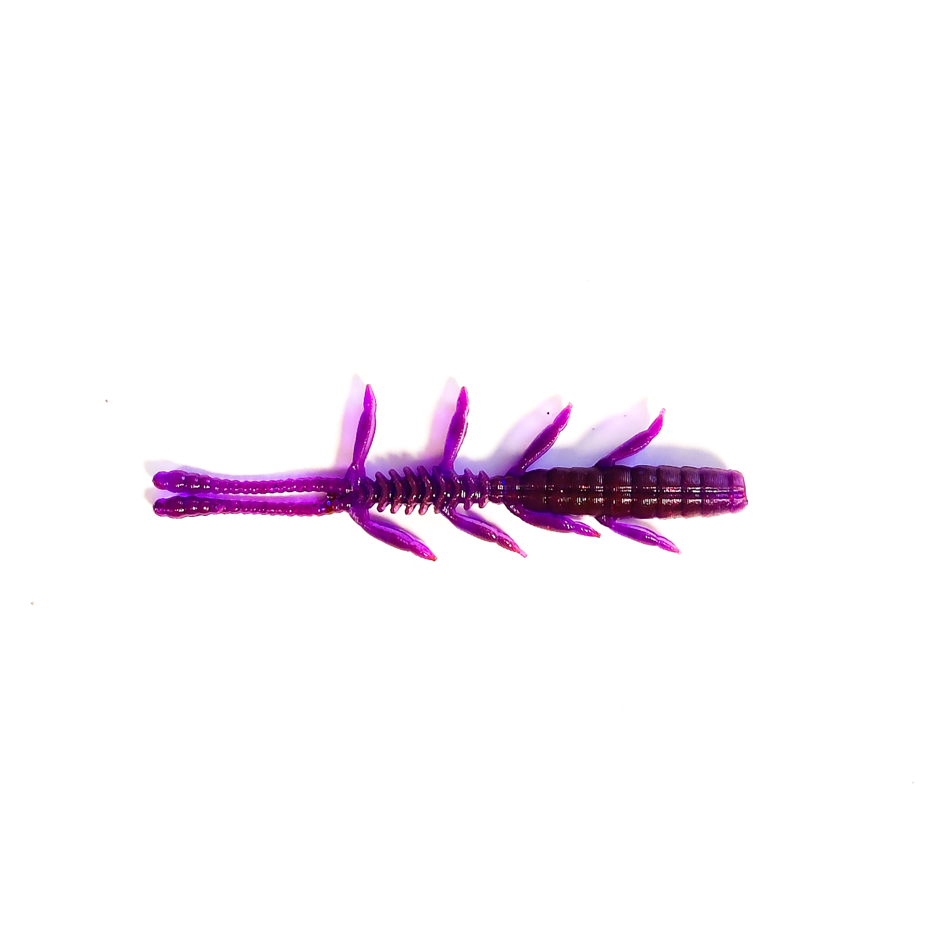 Guma Pływająca Prospin Baits Bug 2,3 cala 10szt
