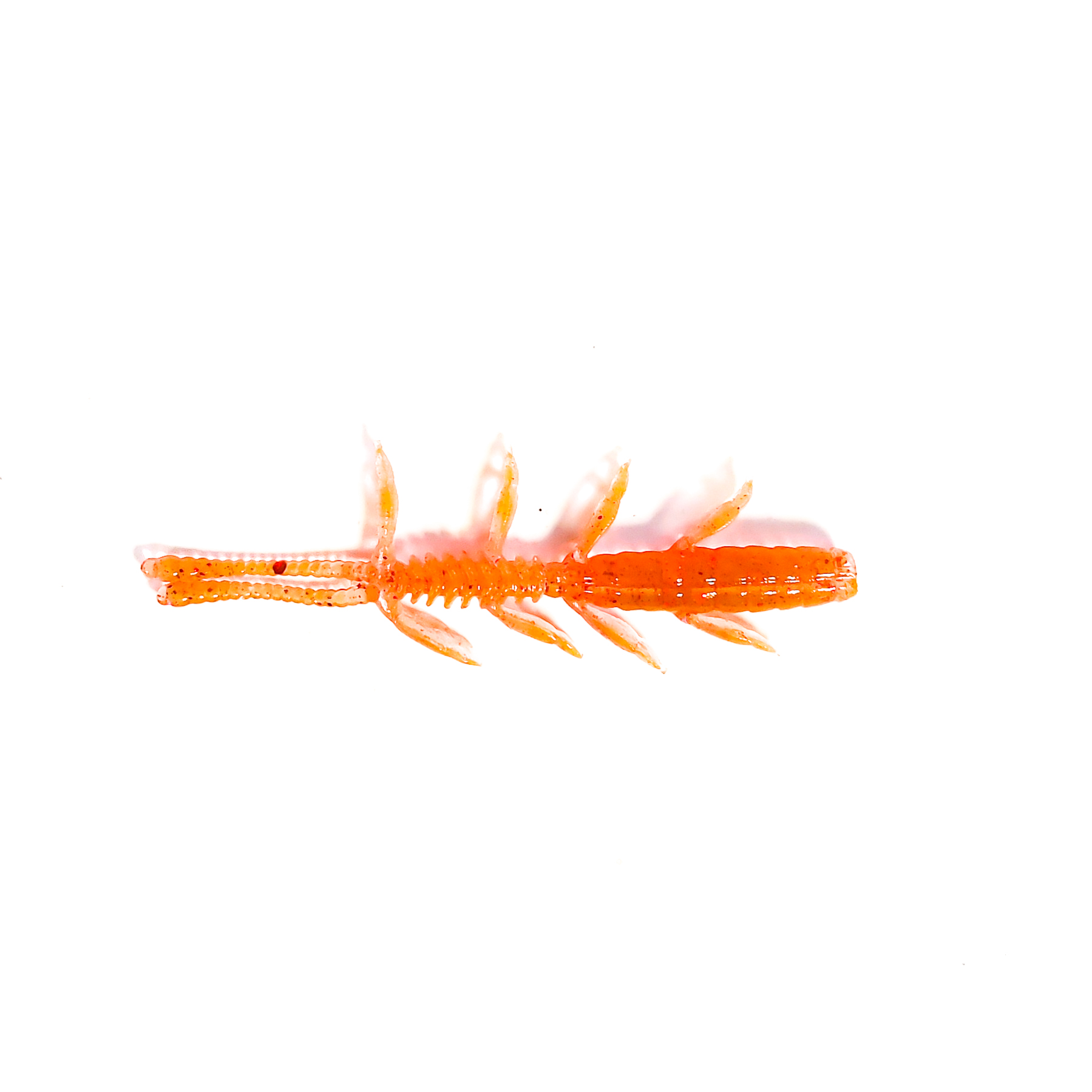 Guma Pływająca Prospin Baits Bug 2,3 cala 10szt