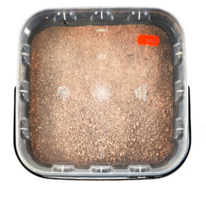 Starbaits Zanęta Method & Stick Mix 1,7kg RS1