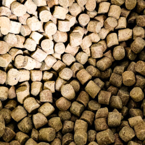Pellet Skretting Coarse Fish 11mm 1kg