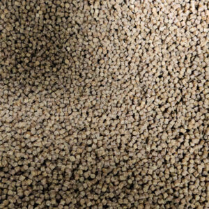 Pellet Skretting Coarse Fish 2,3mm 1kg