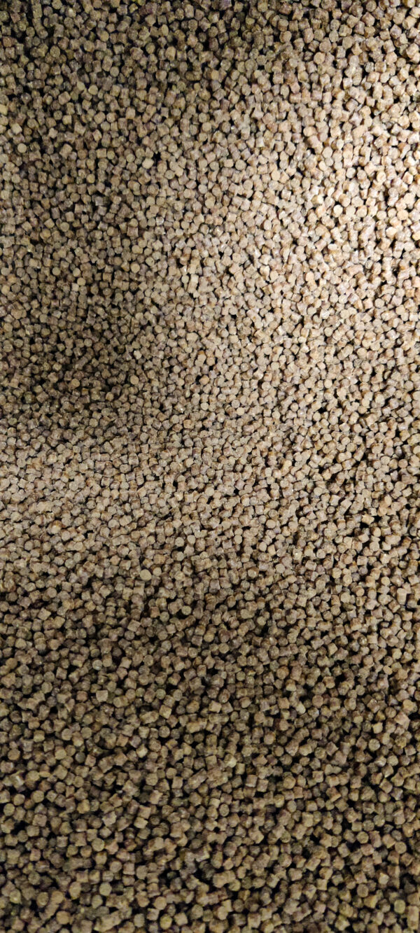 Pellet Skretting Coarse Fish 2,3mm 1kg